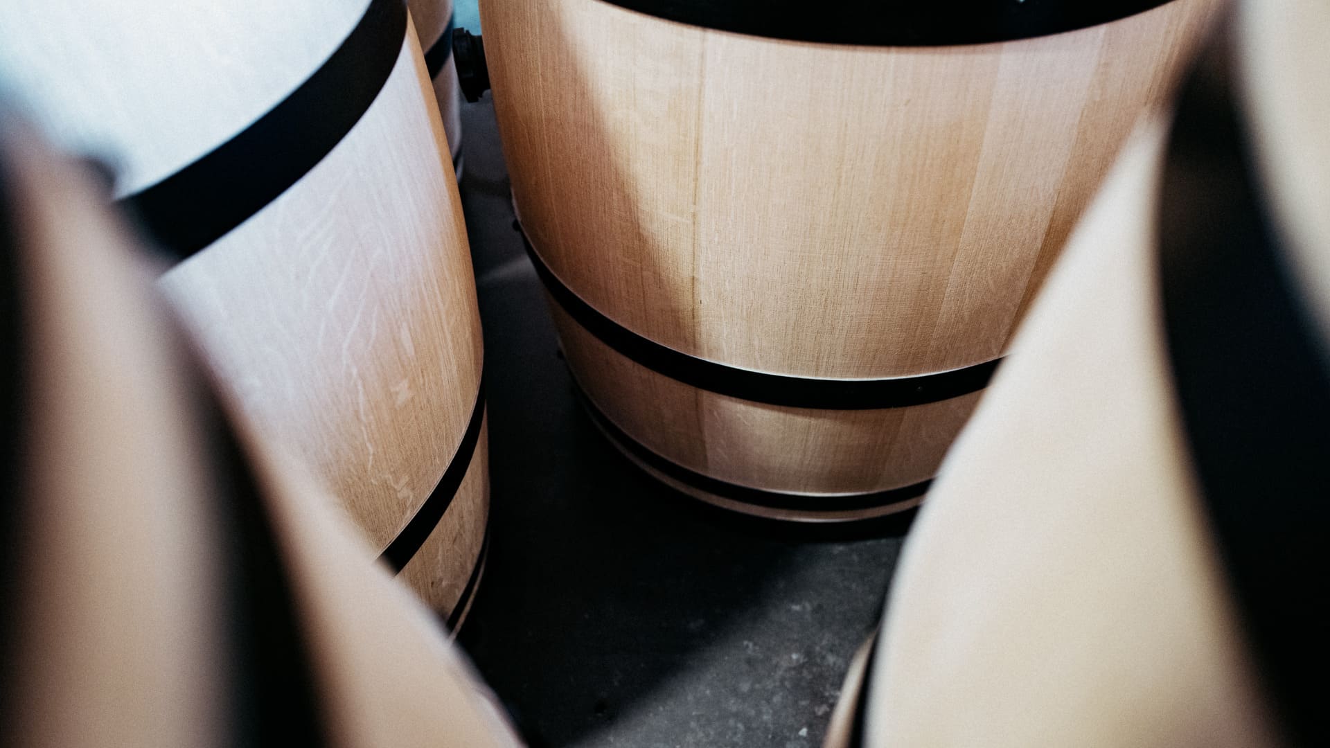 View between four new french oak wine barrels sitting on their ends.